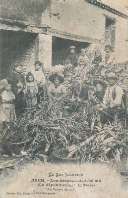 Carte postale ancienne Lou despoullatzé del mil (Le dépouillement du Maïs) — Bach (Lot)