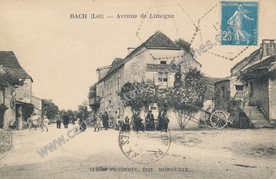 Carte postale ancienne Avenue de Limogne — Bach (Lot)