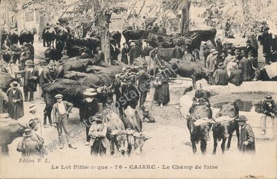 Carte postale ancienne Le Lot Pittoresque - Le Champ de foire — Cajarc (Lot)