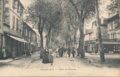 Carte postale ancienne Allées des Platanes — Cajarc (Lot)