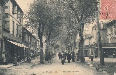 Carte postale ancienne Allée des Platanes — Cajarc (Lot)
