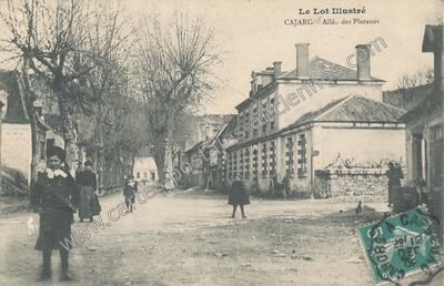 Carte postale ancienne Allée des Platanes — Cajarc (Lot)