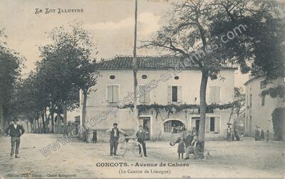 Carte postale ancienne Avenue de Cahors — Concots (Lot)