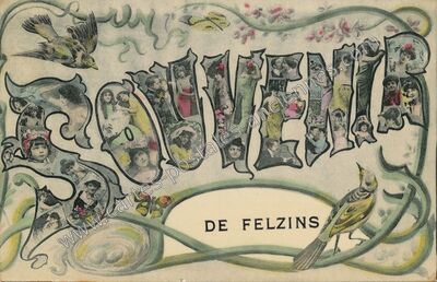 Carte postale ancienne Souvenir — Felzins (Lot)