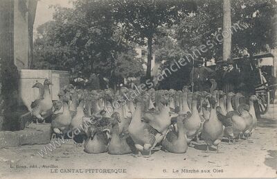 Carte postale ancienne Le Marché aux Oies — Figeac (Lot)