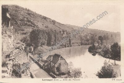 Carte postale ancienne Allée des Platanes — Larnagol (Lot)