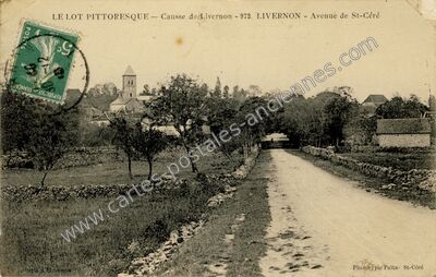 Carte postale ancienne Causse de Livernon - Avenue de St-Céré — Livernon (Lot)