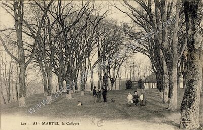 Carte postale ancienne La Callopie — Martel (Lot)
