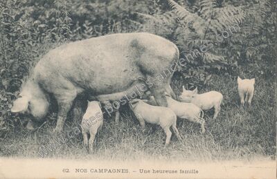 Carte postale ancienne Nos Campagnes — Non Localisée (Lot)