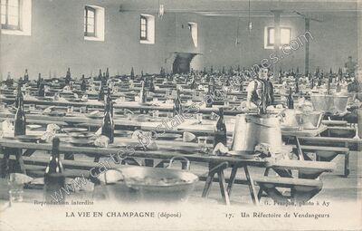 Carte postale ancienne La Vie en Champagne — Non Localisée (Marne)