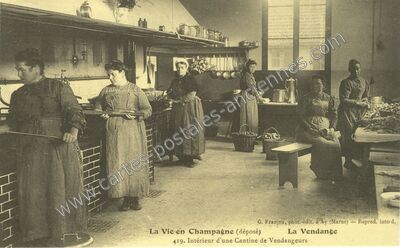 Carte postale ancienne La vie en Champagne — Non Localisée (Marne)