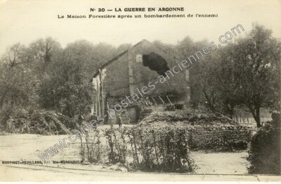 Carte postale ancienne Argonne — Non Localisée (Marne)