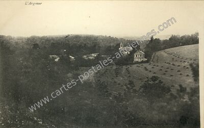 Carte postale ancienne Argonne — Non Localisée (Marne)