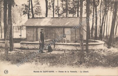 Carte postale ancienne Saint Gond — Coizard-Joches (Marne)