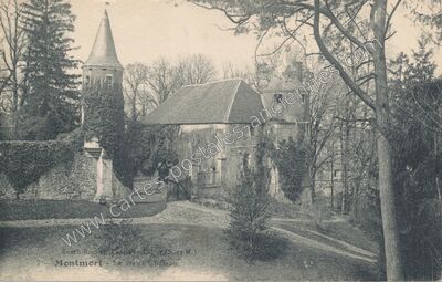 Carte postale ancienne Chateau de Montmort — Montmort-Lucy (Marne)