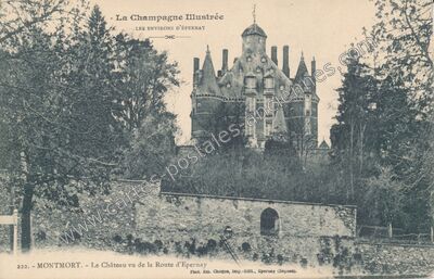 Carte postale ancienne Chateau de Montmort — Montmort-Lucy (Marne)