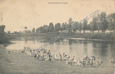 Carte postale ancienne Matougues Plage — Matougues (Marne)