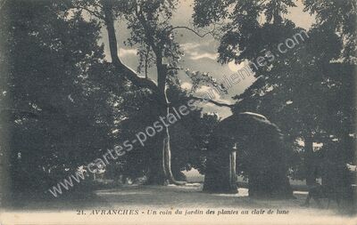 Carte postale ancienne Un coin du jardin des plantes au clair de lune — Avranches (Manche)