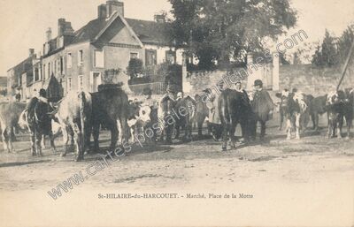 Carte postale ancienne Marché, Place de la Motte — Saint-Hilaire-du-Harcouët (Manche)