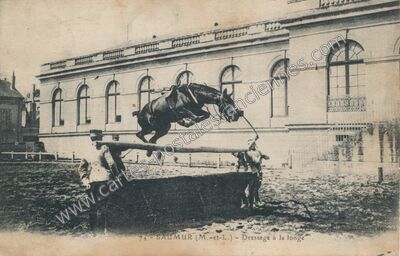 Carte postale ancienne Dressage à la longe — Saumur (Maine-et-Loire)