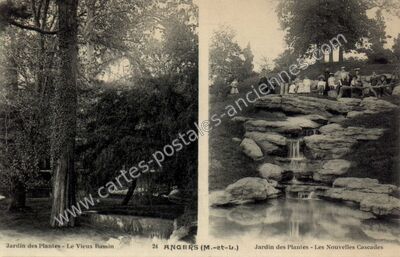 Carte postale ancienne Jardin des Plantes - Le Vieux Bassin — Angers (Maine-et-Loire)
