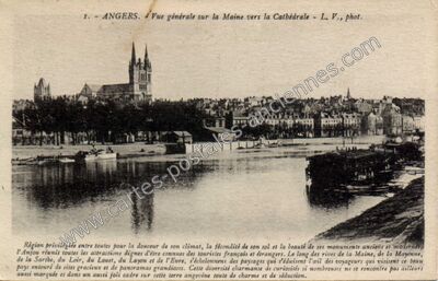 Carte postale ancienne Vue générale sur la Maine vers la Cathédrale — Angers (Maine-et-Loire)