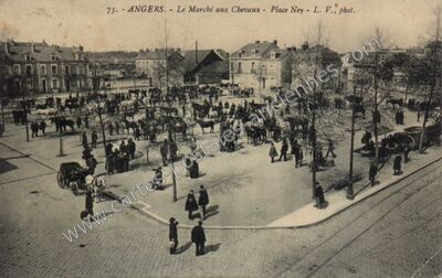 Carte postale ancienne Le Marché aux Chevaux - Place Ney — Angers (Maine-et-Loire)