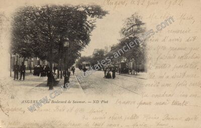 Carte postale ancienne Le Boulevard de Saumur — Angers (Maine-et-Loire)