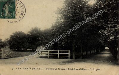 Carte postale ancienne La Pointe — Bouchemaine (Maine-et-Loire)