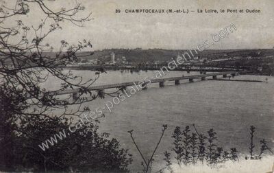 Carte postale ancienne La Loire, le Pont et Oudon — Champtoceaux (Maine-et-Loire)
