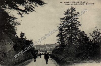 Carte postale ancienne Route de la Corniche - Descente — Champtoceaux (Maine-et-Loire)