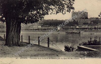 Carte postale ancienne Panorama de la Loire et du Château pris du Quai des Marronniers — Saumur (Maine-et-Loire)