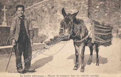 Carte postale ancienne La Lozere Pittoresque — Non Localisée (Lozère)