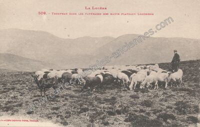 Carte postale ancienne La Lozere — Non Localisée (Lozère)