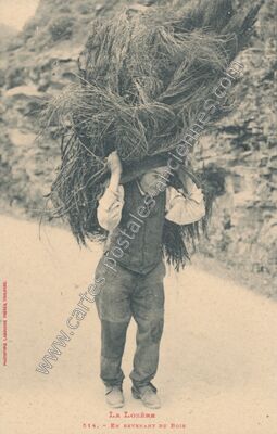 Carte postale ancienne La Lozere — Non Localisée (Lozère)