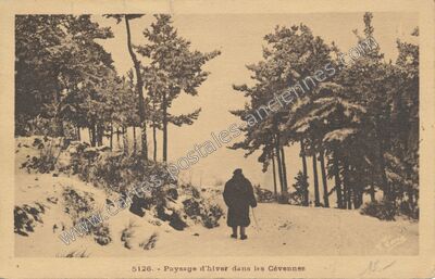 Carte postale ancienne Les Cevennes — Non Localisée (Lozère)
