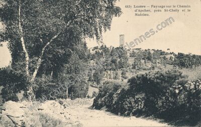 Carte postale ancienne Lozere — Non Localisée (Lozère)