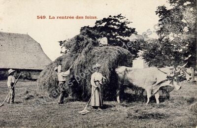 Carte postale ancienne Rentree des Foins — Non Localisée (Lozère)