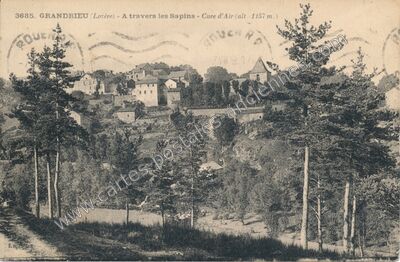 Carte postale ancienne A travers les Sapins - Cure d'Air — Grandrieu (Lozère)