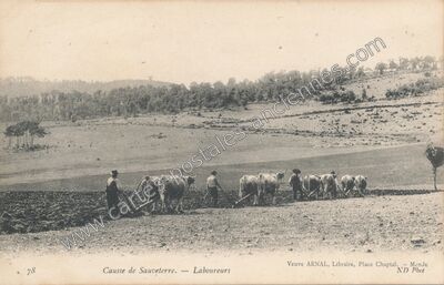 Carte postale ancienne Causse de Sauveterre — Laval-du-Tarn (Lozère)