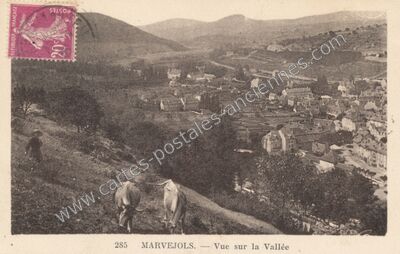 Carte postale ancienne Vue sur la Vallée — Marvejols (Lozère)
