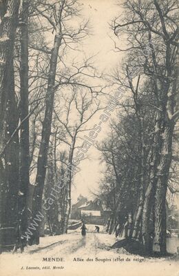 Carte postale ancienne Allée des Soupirs (effet de neige) — Mende (Lozère)