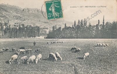 Carte postale ancienne La Plaine — Meyrueis (Lozère)