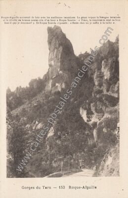 Carte postale ancienne Roque Aiguille — Les Vignes (Lozère)