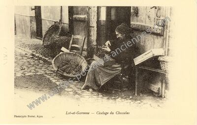 Carte postale ancienne Lot et Garonne — Non Localisée (Lot-et-Garonne)