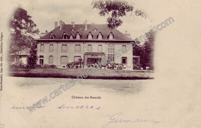 Carte postale ancienne Chateau des Bezards — Non Localisée (Loiret)