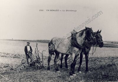 Carte postale ancienne En Beauce — Non Localisée (Loiret)