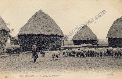 Carte postale ancienne En Beauce — Non Localisée (Loiret)