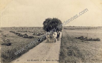 Carte postale ancienne En Beauce — Non Localisée (Loiret)