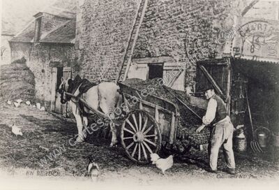 Carte postale ancienne En Beauce — Non Localisée (Loiret)